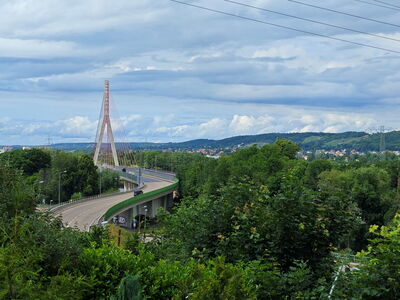 Blick auf die Brücke in Niederwartha 2025 Blick auf die Schrägseilbrücke in Niederwartha | Die Brücke ist umgeben von vielen grünen Bäumen. Im Hintergrund: Hänge von Radebeul und Coswig.